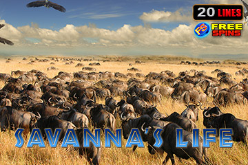 สล็อต Savanna's Life โดยไม่ต้องลงทะเบียน