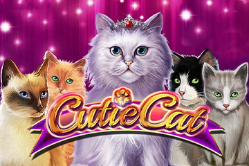 สล็อต Cutie Cat โดยไม่ต้องลงทะเบียน
