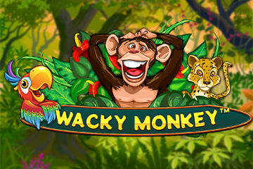 เครื่องสล็อต Wacky Monkey ออนไลน์