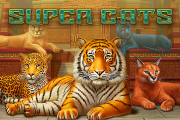 สล็อต Super Cats