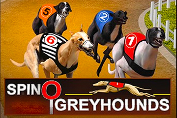 Spino Greyhounds