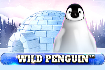 Wild Penguin